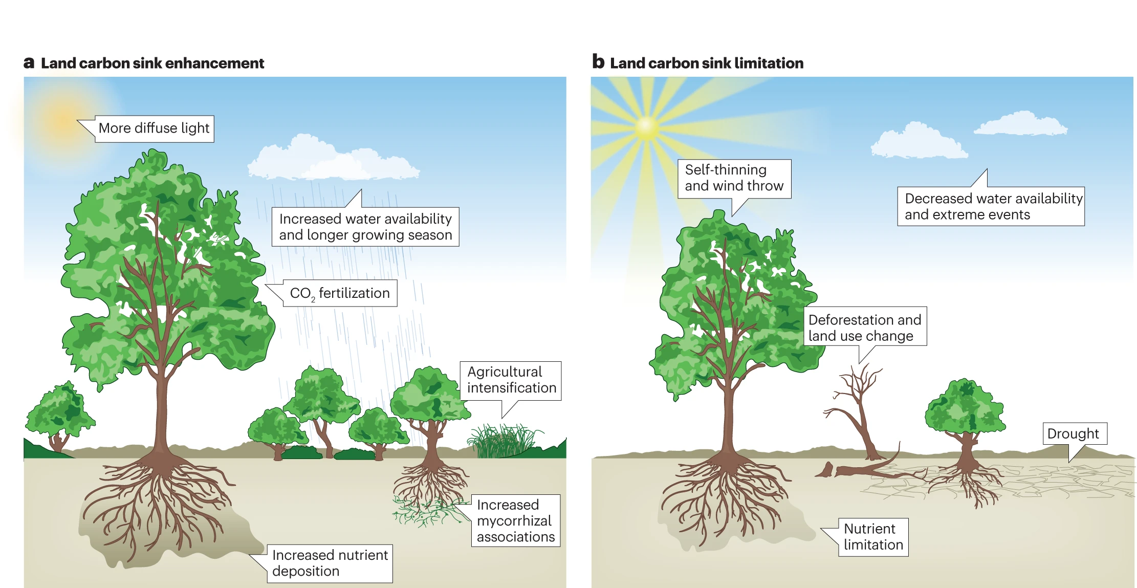 2023 July Nature Reviews Earth & Environment figure